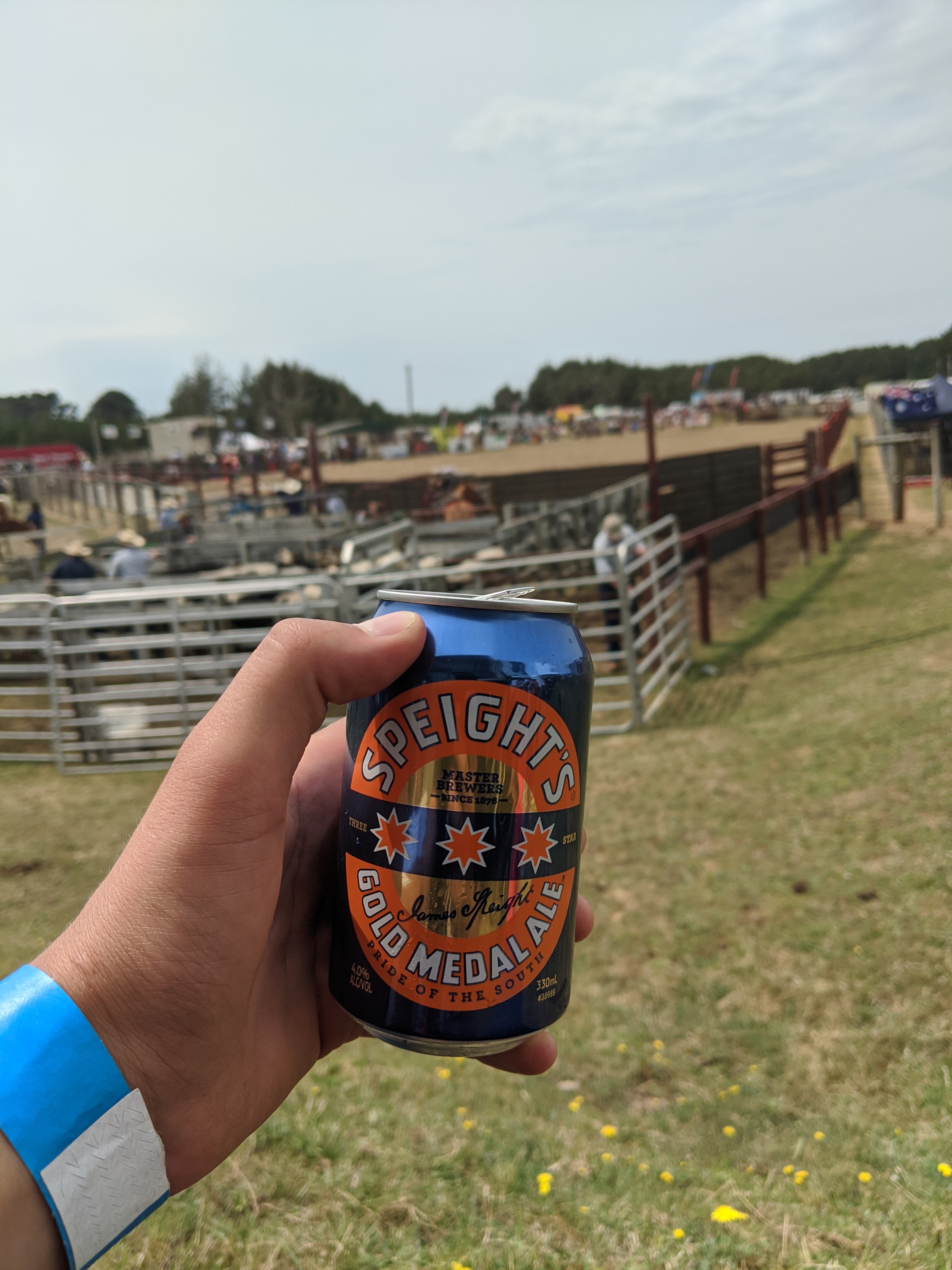 New Zealand photo 12