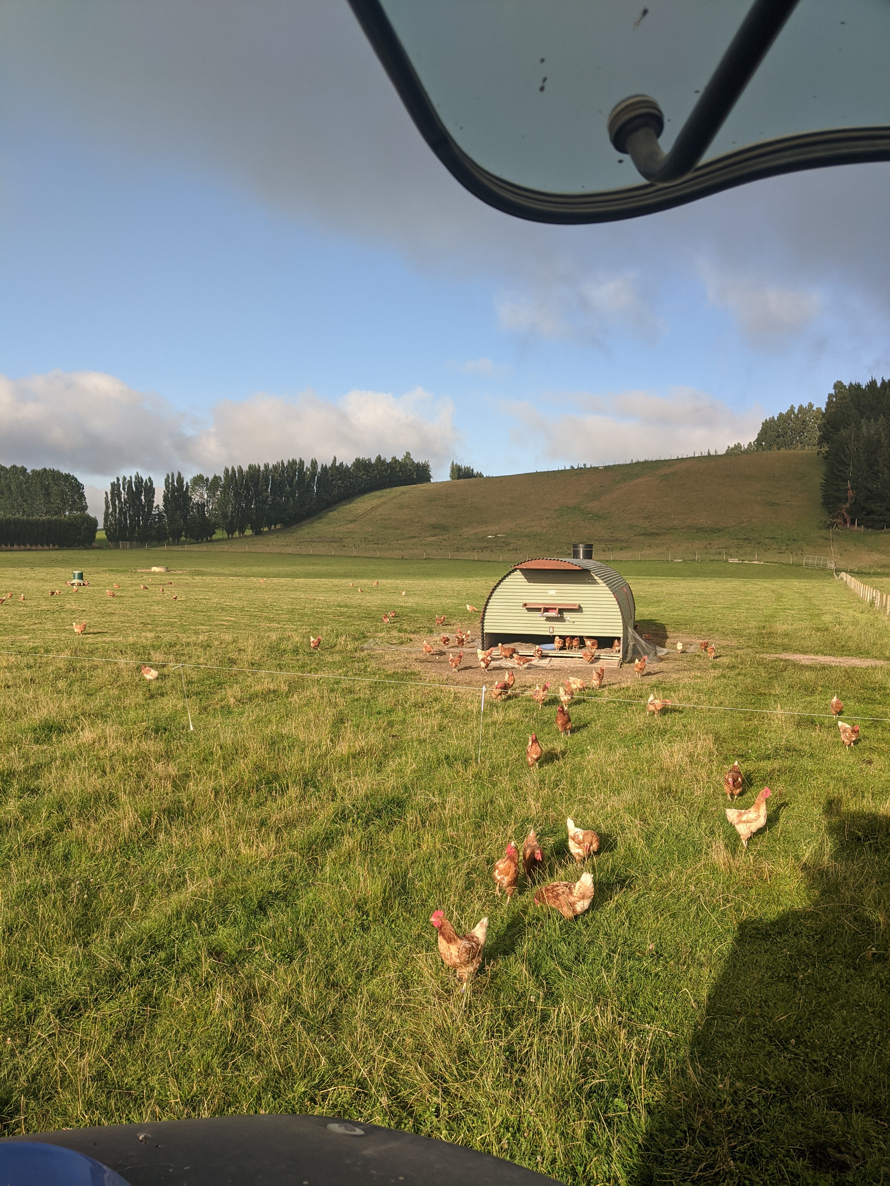 New Zealand photo 13